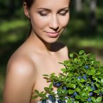 Wild Bilberry Extract — Natural Blue-Purple Colorant