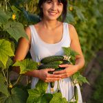 Cucumber Extract