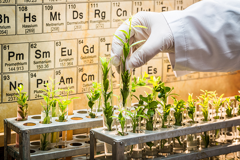 Laboratory-grown botanical plants cultivated through scientific research, representing ORY Skincare’s fusion of nature and skincare science.