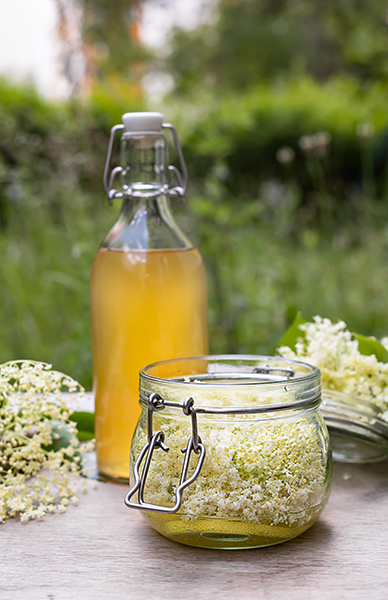 elderflower_infused_oil Elderflower infused oil in a glass jar and bottle, used in ORY Skincare for brightening, soothing, and anti-inflammatory skincare formulations.