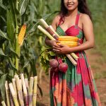 Woman holding sugarcane and corn in a field, representing sodium lactate as a naturally derived ORY Skincare ingredient that supports hydration and moisture balance.